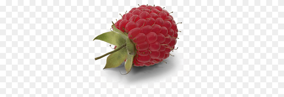 Raspberry Image With Transparent Background, Berry, Produce, Plant, Fruit Png
