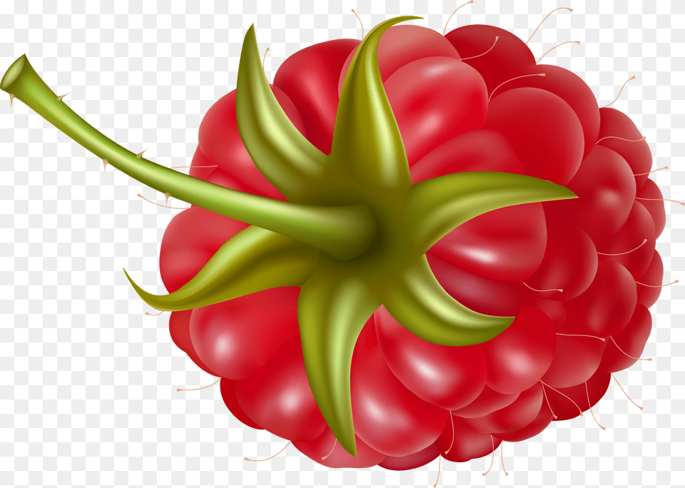 Raspberry Images Pictures Download, Berry, Food, Fruit, Plant Png Image