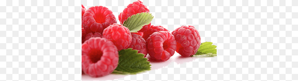 Raspberry Images Raspberry, Berry, Food, Fruit, Plant Free Transparent Png