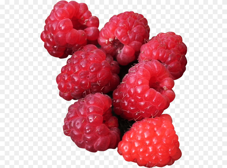 Raspberry Images Aquolina Scented Body Water Raspberry Juice, Berry, Food, Fruit, Plant Free Transparent Png