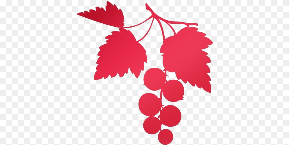 Raspberry Logo, Food, Fruit, Leaf, Plant Png Image
