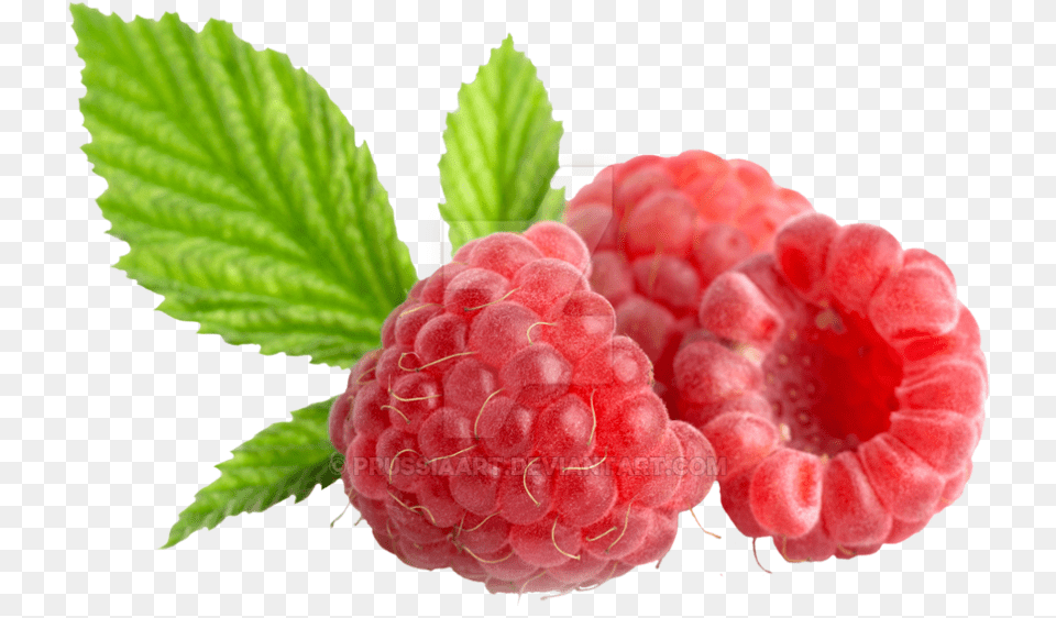 Raspberry Malina, Berry, Food, Fruit, Plant Free Png Download