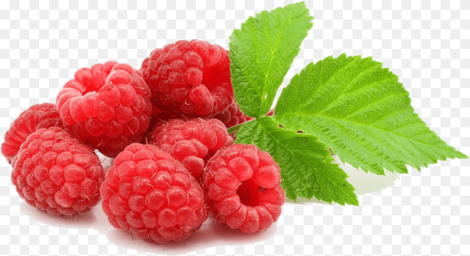 Raspberry Photo, Berry, Food, Fruit, Plant Free Png