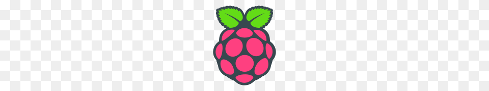 Raspberry Pi Icon, Berry, Food, Fruit, Plant Png