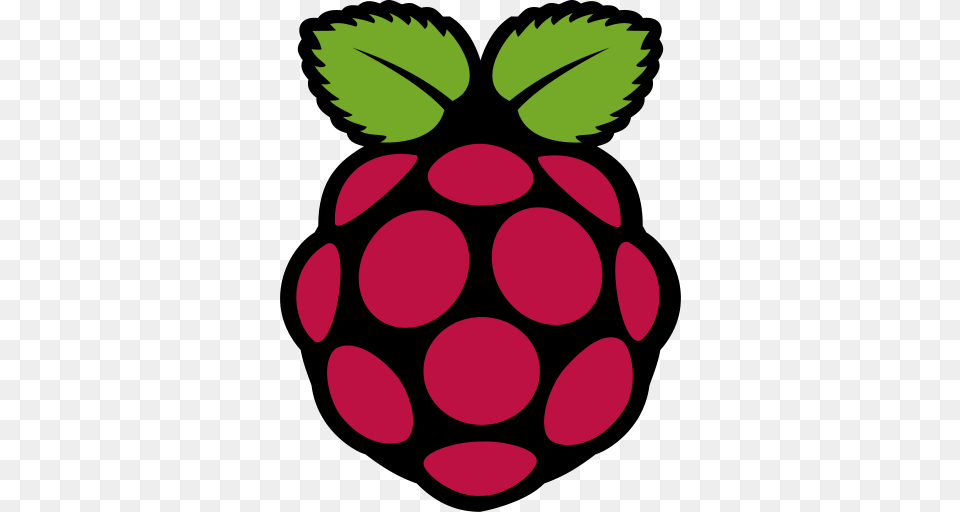 Raspberry Pi Logo, Berry, Food, Fruit, Plant Free Transparent Png