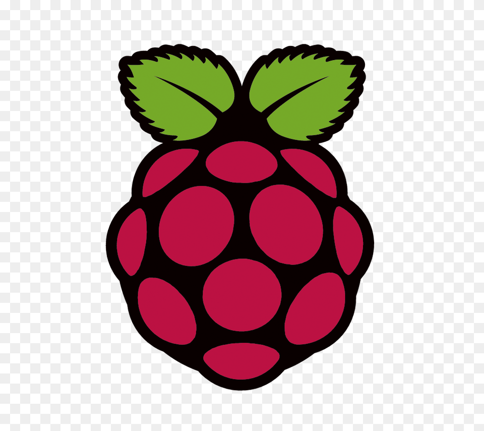Raspberry Pi Tools That Fire Up Your Programming Skills, Berry, Food, Fruit, Plant Png