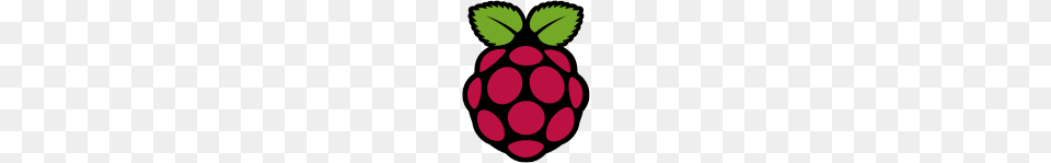 Raspberry Pi What Is The Pi Anyway Make, Fruit, Produce, Berry, Food Free Png Download