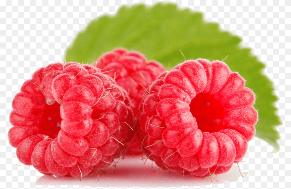 Raspberry Raspberry, Berry, Food, Fruit, Plant Png Image