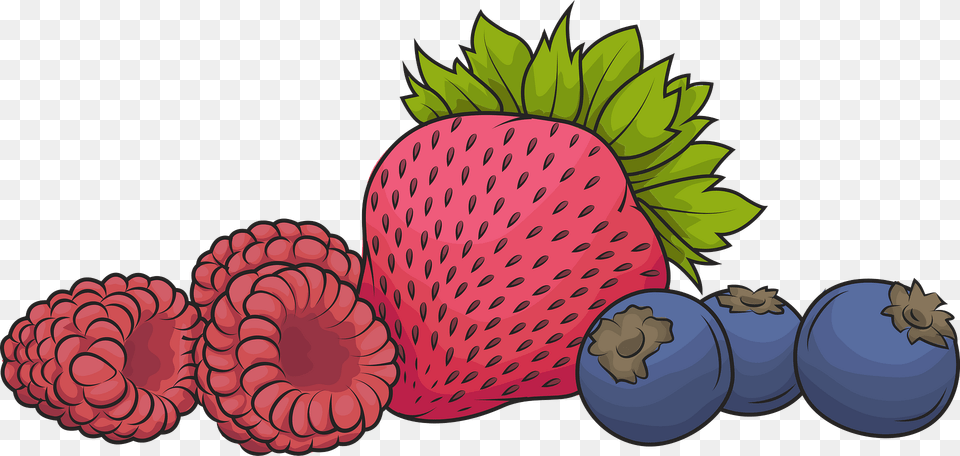 Raspberry Strawberry And Blueberry Clipart, Berry, Food, Fruit, Plant Free Png Download