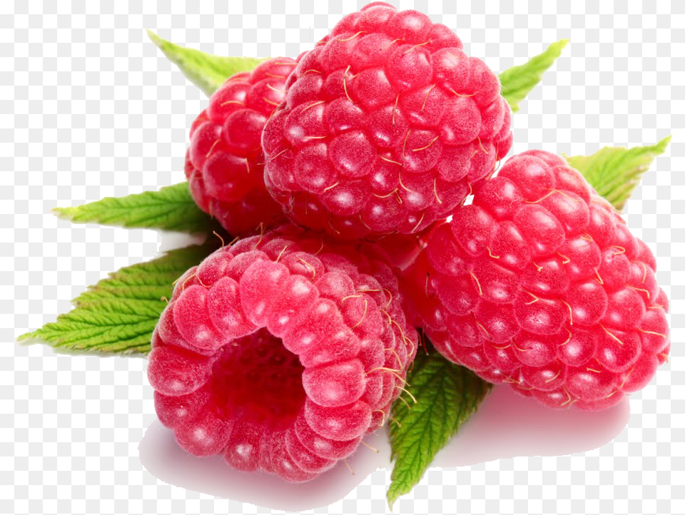 Raspberry Transparent Background Raspberry Transparent Background, Berry, Food, Fruit, Plant Free Png
