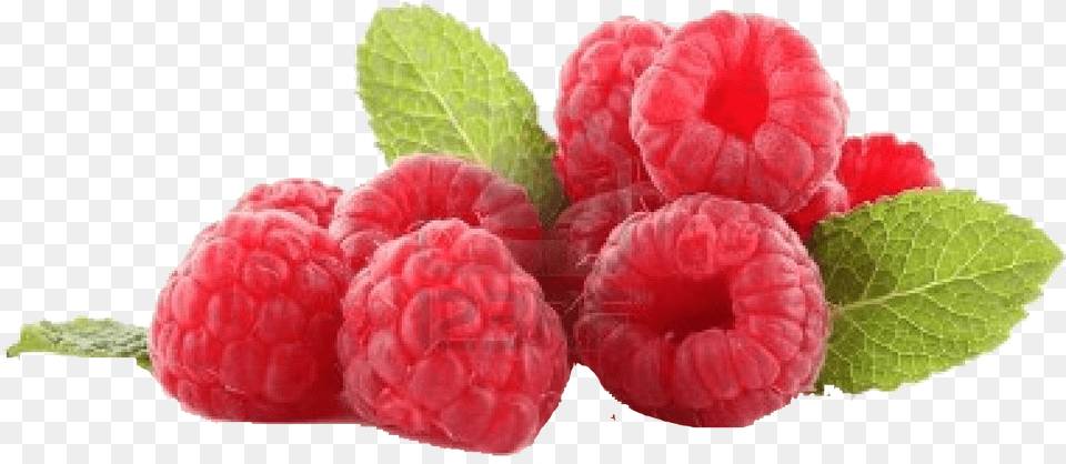 Raspberry Transparent File, Berry, Food, Fruit, Plant Png