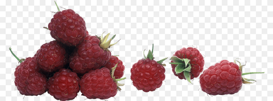 Raspberry Transparent File Raspberry, Berry, Food, Fruit, Plant Png