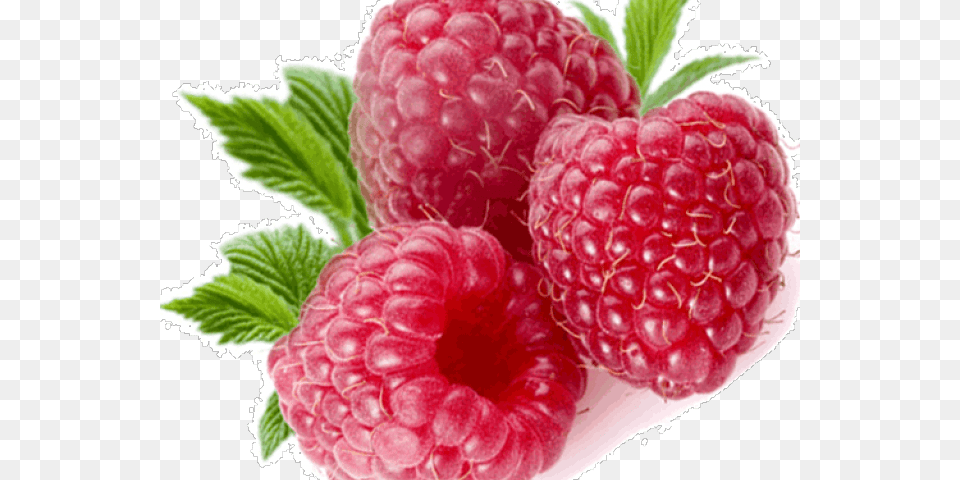 Raspberry Transparent Images Transparent Background Raspberry, Berry, Food, Fruit, Plant Free Png