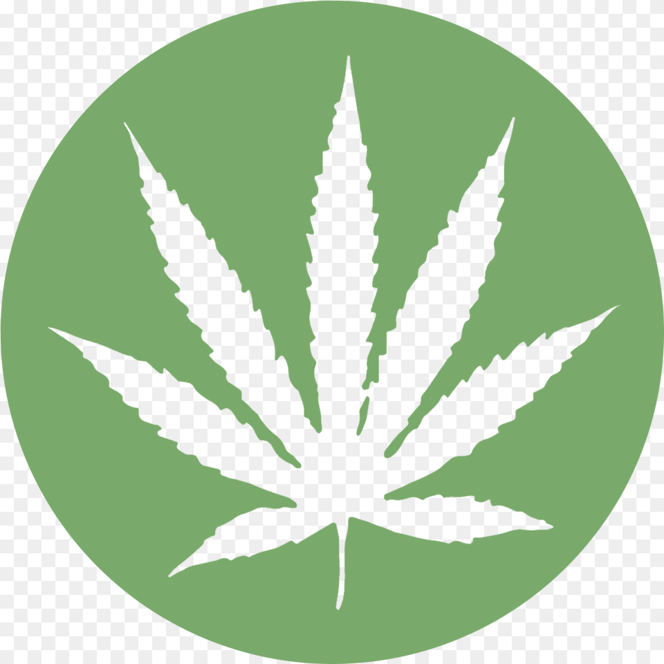 Rasta Color Weed Leaf Transparent Background Cannabis Leaf, Plant, Astronomy, Moon, Nature Png