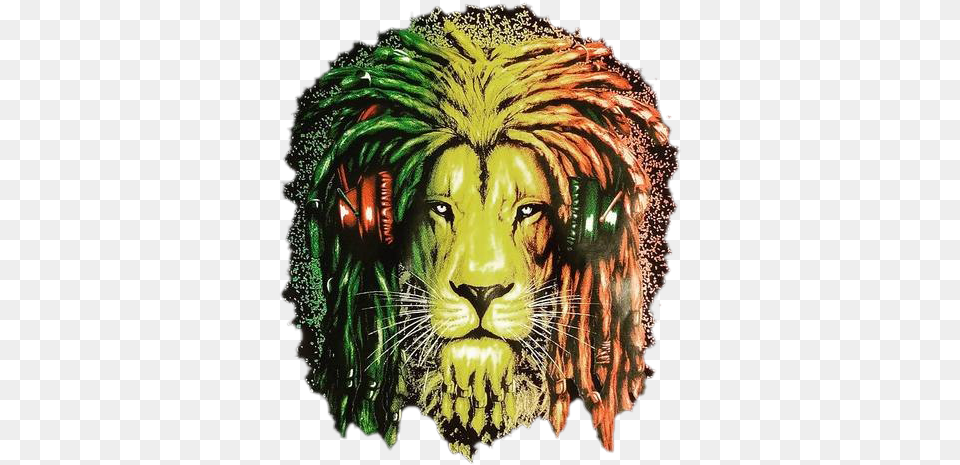 Rasta Lion Picture, Photography, Art, Collage, Head Free Transparent Png