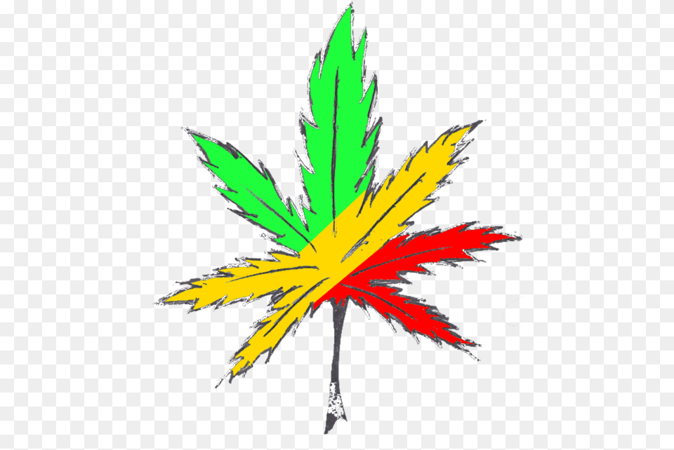 Rasta Pot Leaf By Demonchild Marihuana Reggae, Plant, Tree, Animal, Fish Free Png
