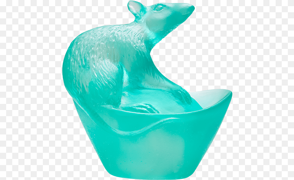 Rat, Tub, Animal, Mammal, Ice Free Png