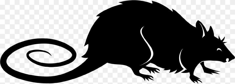 Rat, Silhouette, Logo, Nature, Night Free Png Download