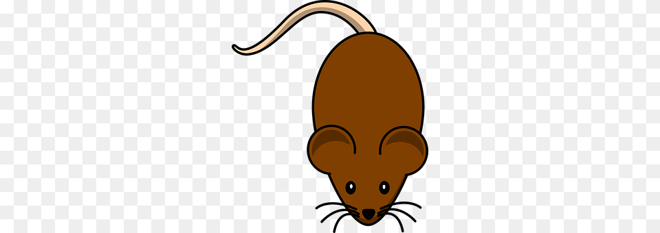 Rat Animal, Mammal Png Image