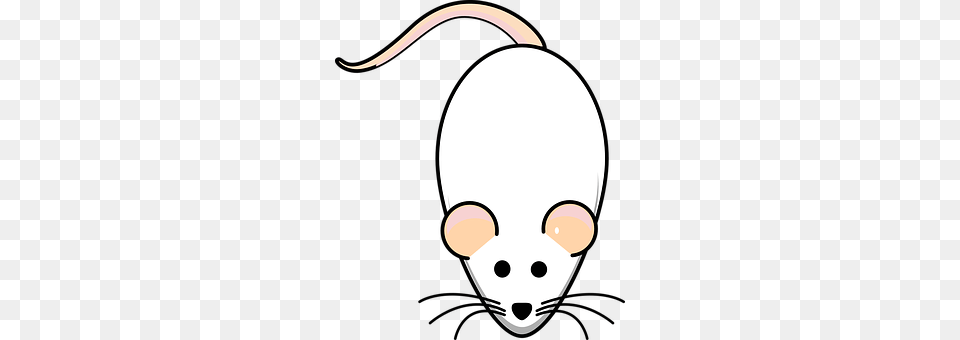 Rat Mouse, Computer Hardware, Electronics, Hardware Free Transparent Png