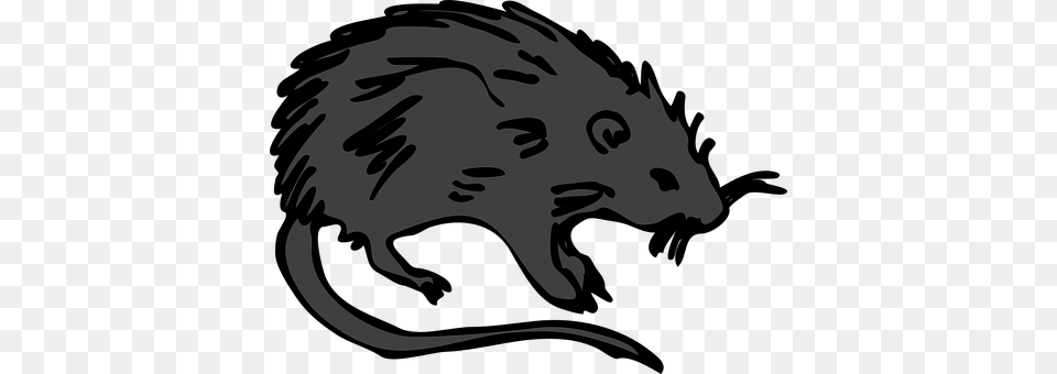 Rat Baby, Person, Animal, Mammal Png Image