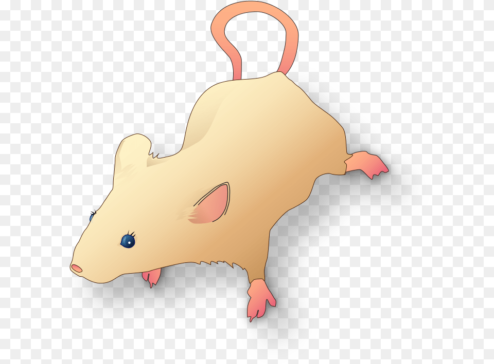 Rat, Animal, Mammal, Electronics, Hardware Free Png Download