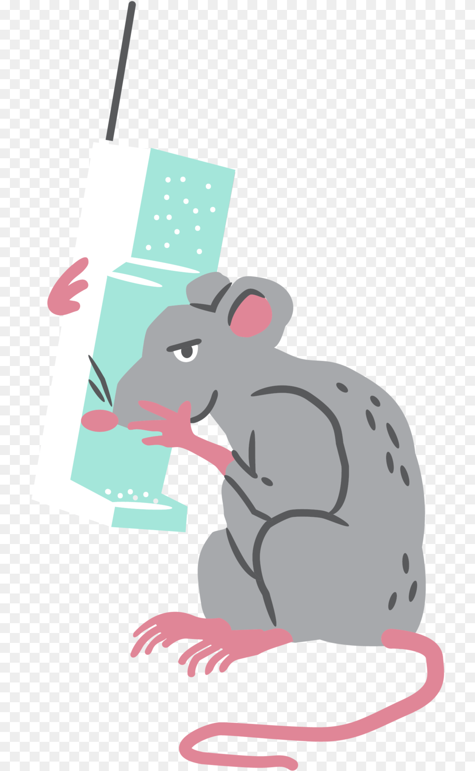 Rat, Animal, Mammal, Baby, Person Free Transparent Png