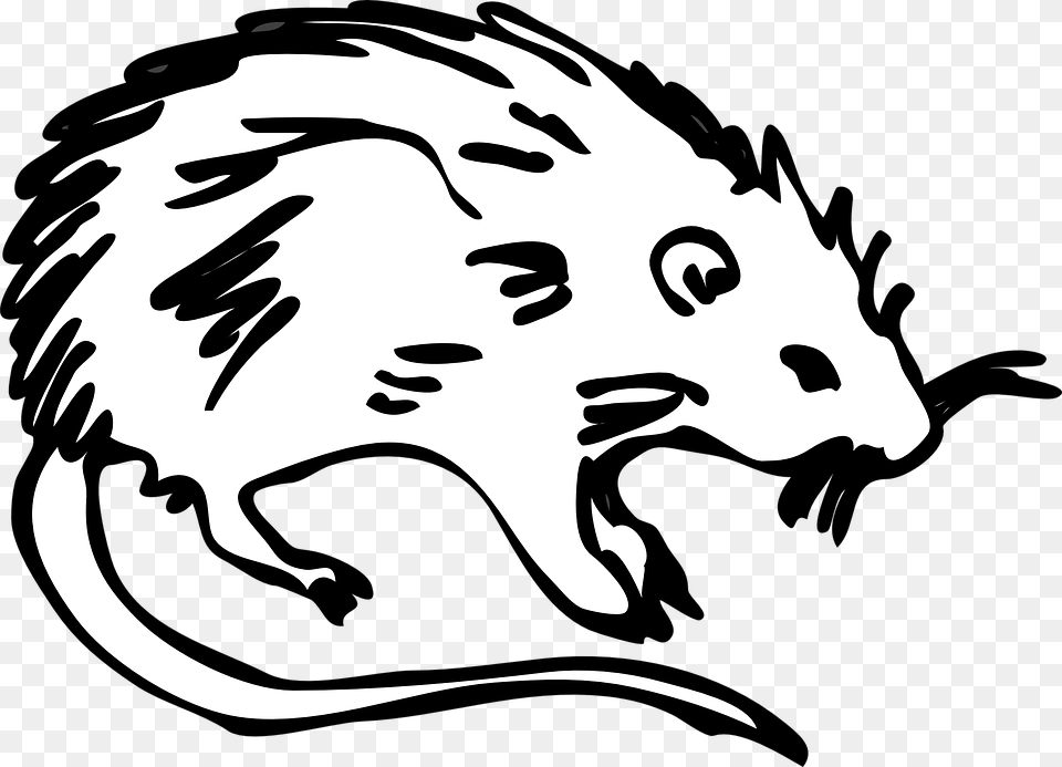 Rat Animal Rodent Mouse Cute White Pest Tail Cartoon The Black Death Rats, Stencil, Baby, Person, Mammal Free Png Download