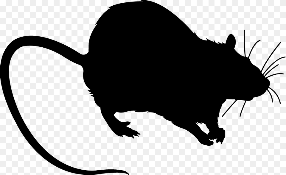 Rat Black Silhouette Krisa Siluet, Animal, Mammal, Rodent, Bear Free Png Download
