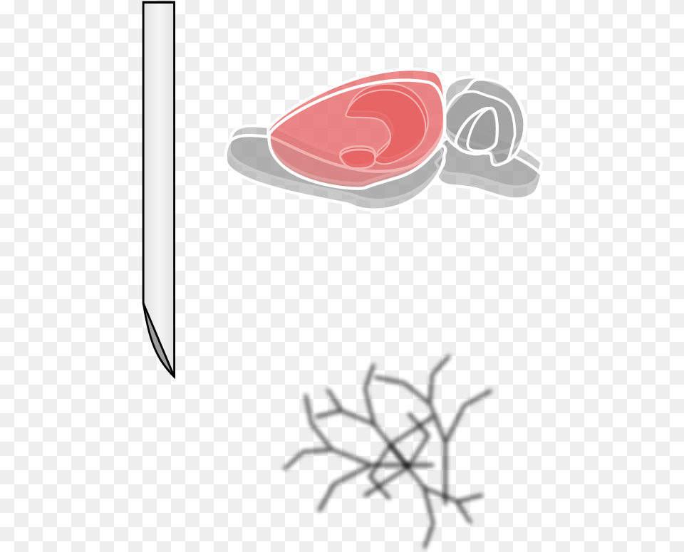 Rat Brain Svg Clip Arts, Clothing, Glove, Cutlery, Hat Free Png Download