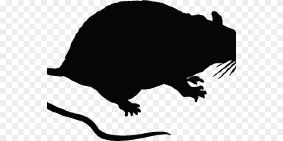 Rat Cartoon Black, Animal, Mammal, Baby, Person Png