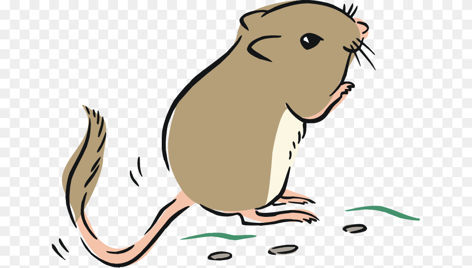 Rat Clip Art Cartoon, Animal, Mammal, Adult, Female Free Png