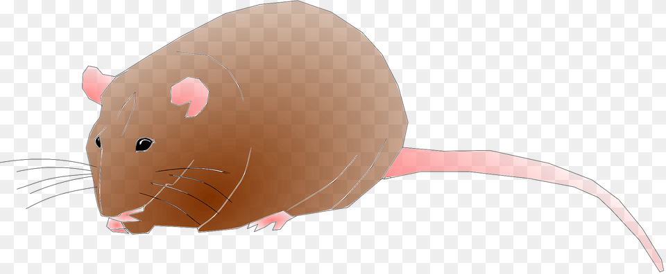 Rat Clipart, Animal, Mammal, Rodent, Pig Png Image