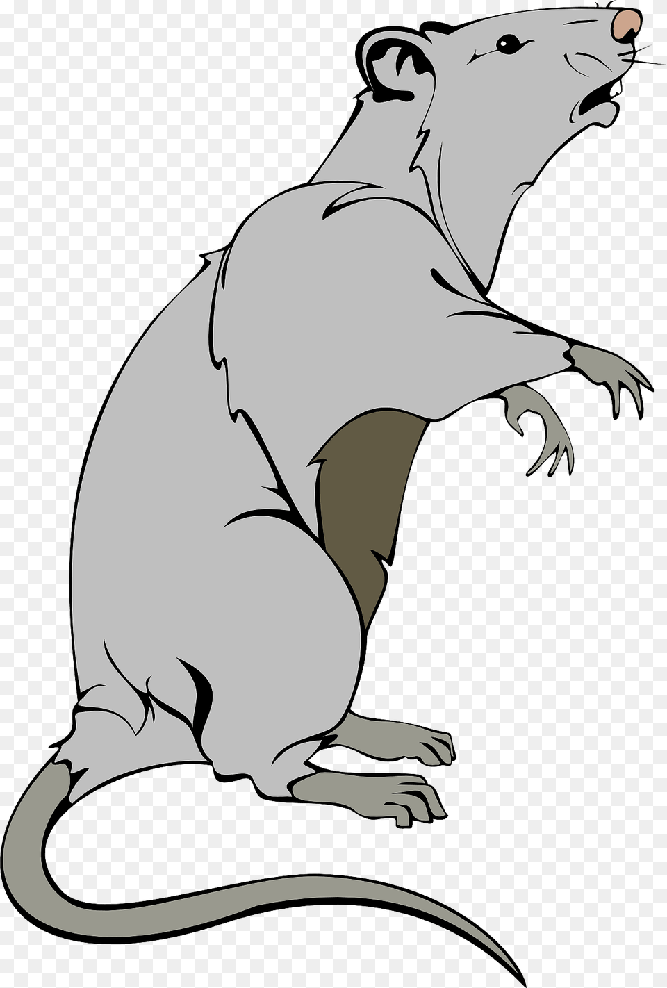 Rat Clipart, Animal, Mammal, Baby, Person Png