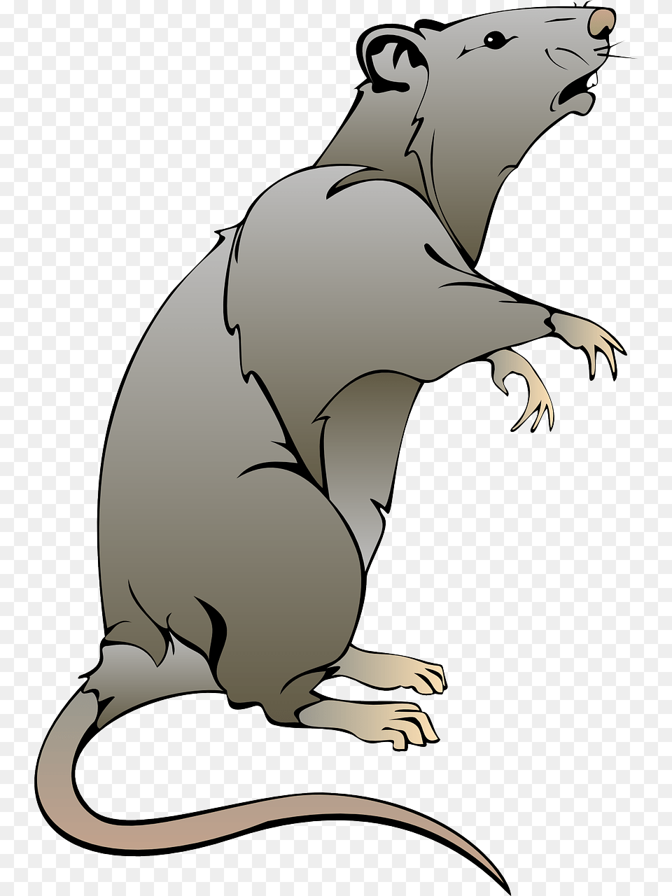 Rat Clipart, Animal, Mammal, Baby, Person Png Image