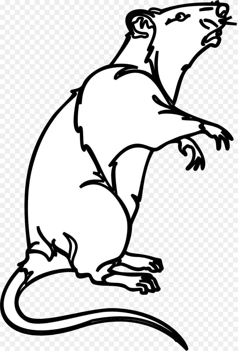 Rat Clipart, Animal, Mammal, Rodent, Wildlife Free Png Download