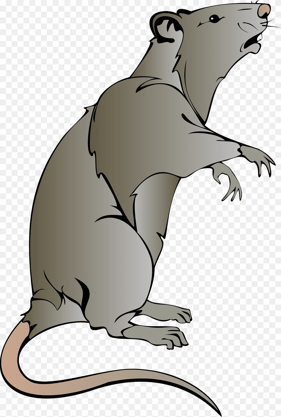 Rat Clipart, Animal, Mammal, Baby, Person Free Png