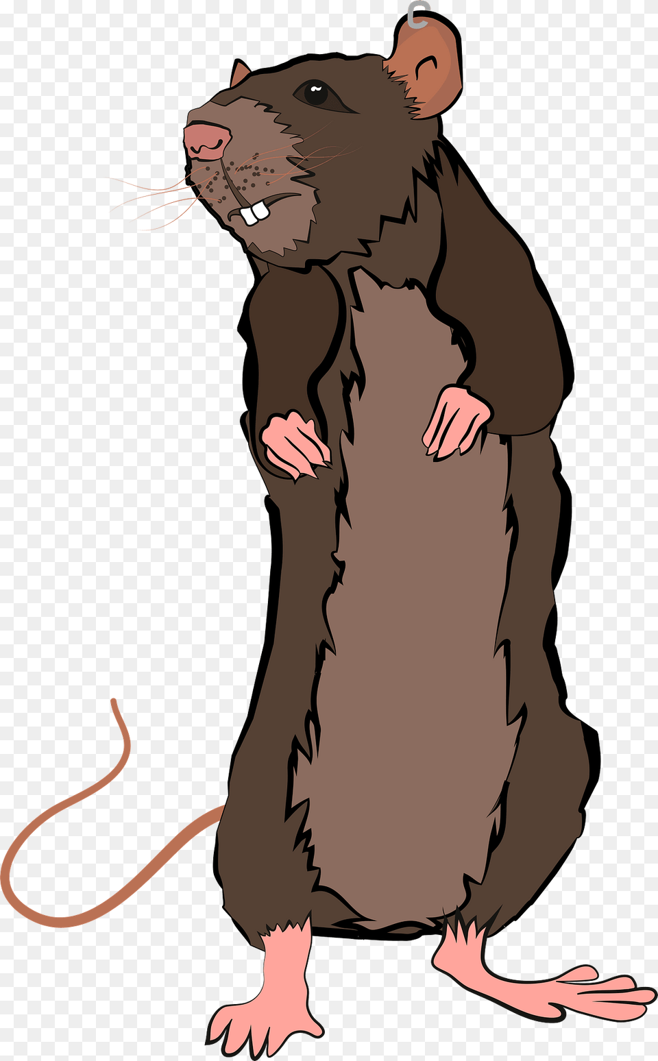 Rat Clipart, Animal, Mammal, Person, Face Free Png