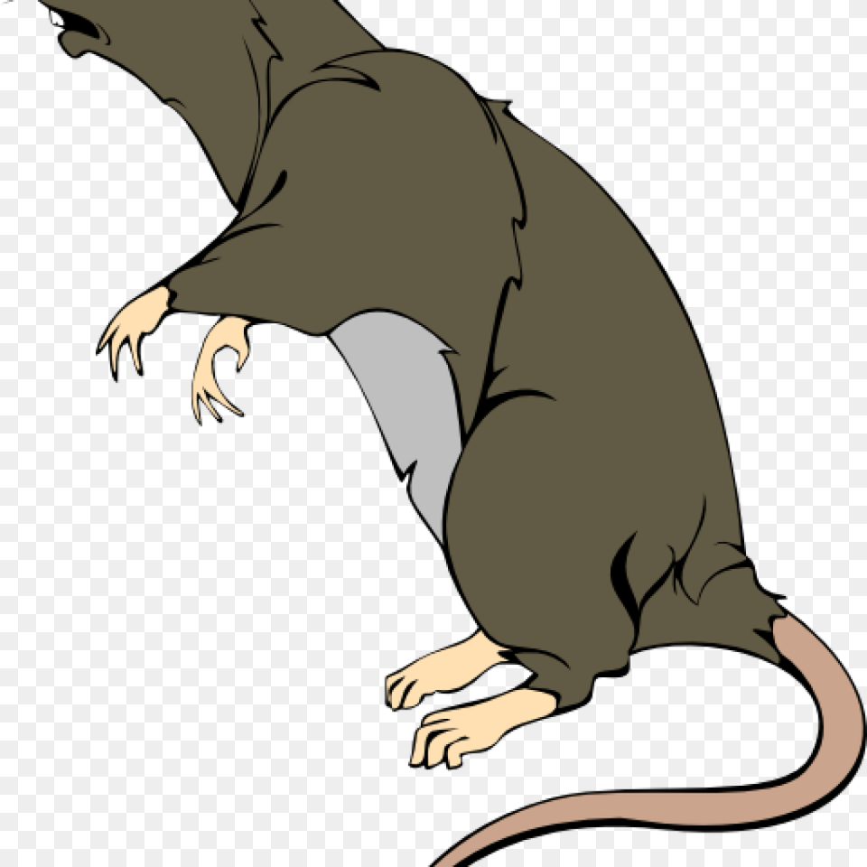 Rat Clipart Grey Greedy Clip Art At Clker Vector Online Clip Art, Animal, Mammal, Mole, Baby Png