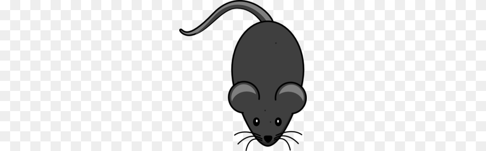 Rat Clipart Grey Mouse, Animal, Mammal, Face, Head Free Png