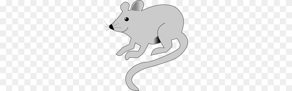 Rat Clipart Grey Mouse, Animal, Mammal, Fish, Sea Life Png Image