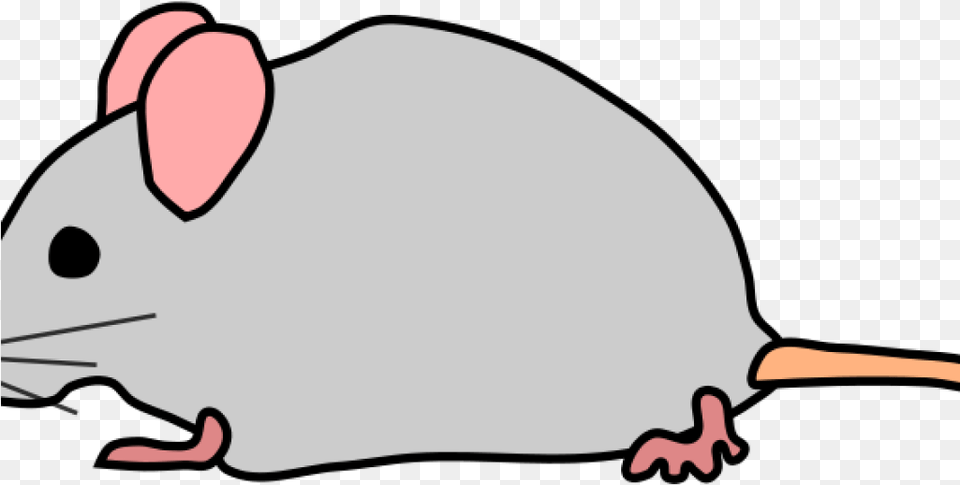 Rat Clipart Mouse Clipart, Animal, Mammal, Rodent Free Png Download