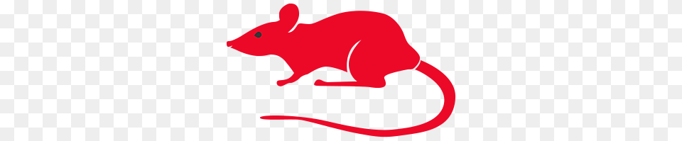 Rat Clipart Smart, Animal, Mammal, Computer Hardware, Electronics Free Png