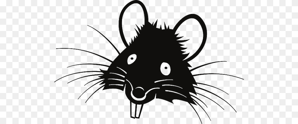 Rat Clipart Tikus Rat Cartoon Face, Animal, Mammal, Rodent Png