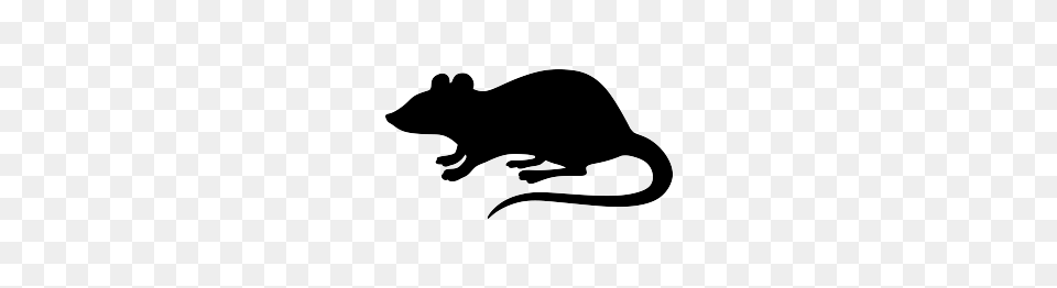 Rat Clipart Transparent, Animal, Mammal, Rodent, Silhouette Png