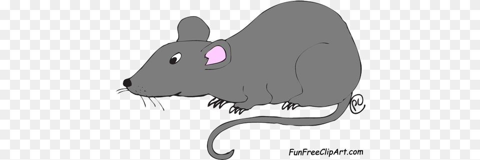 Rat Clipart Transparent Background, Animal, Mammal, Rodent, Fish Free Png