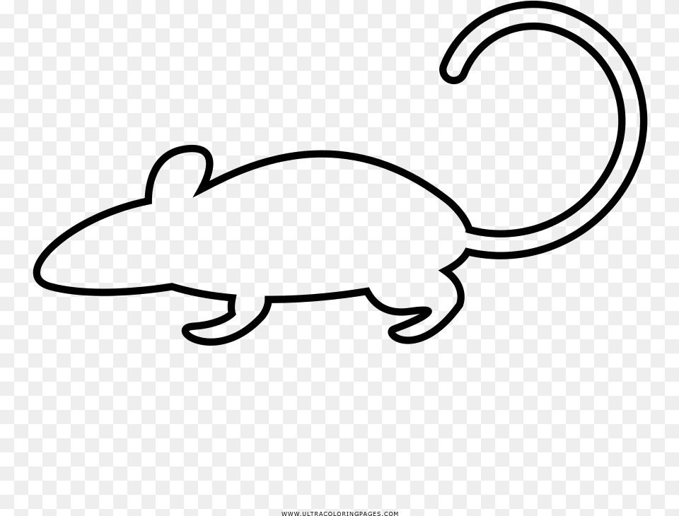 Rat Coloring, Gray Free Png Download