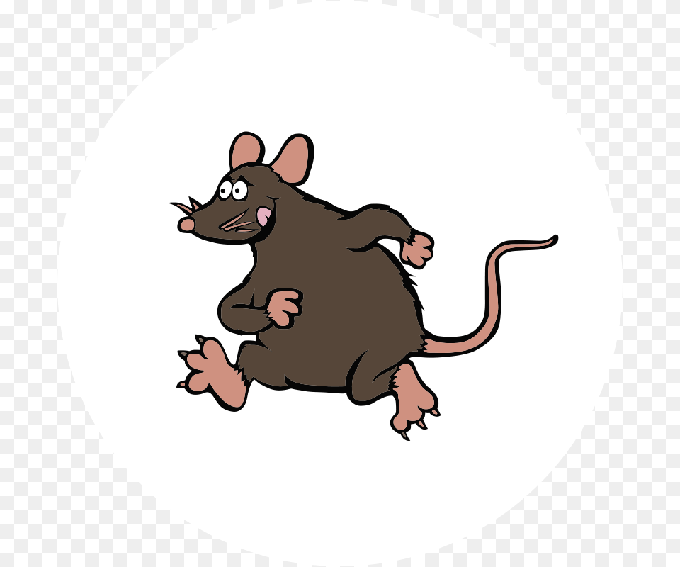 Rat Control Icon Kangaroo Rat, Animal, Mammal, Rodent, Pig Free Png