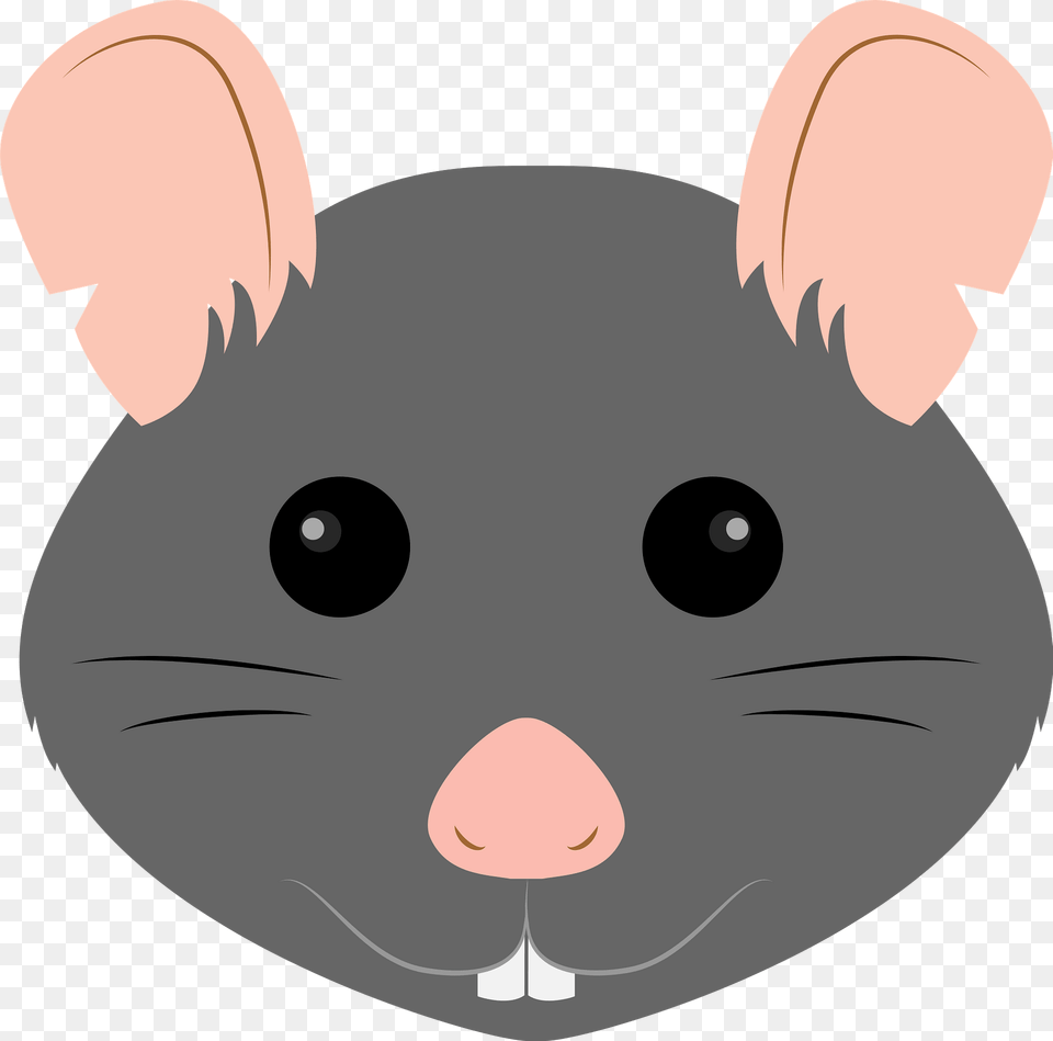 Rat Face Clipart, Animal, Mammal, Rodent Png