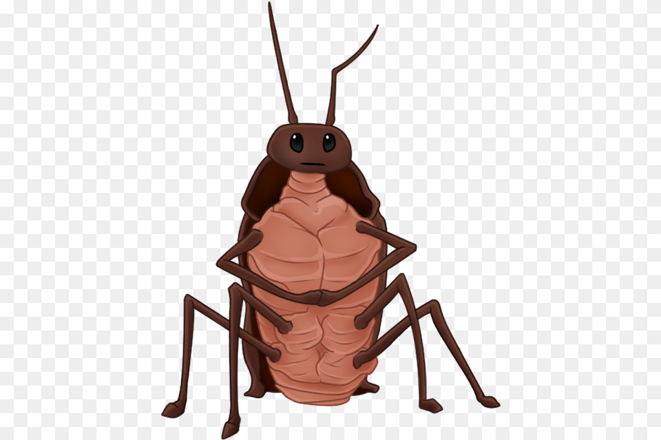 Rat Gregor The Overlander Gregor The Overlander Cockroaches, Animal, Baby, Person, Cockroach Png Image